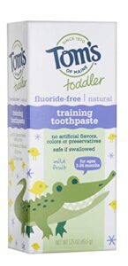 tom's of maine fluoride-free toddler training toothpaste, mild fruit, 1.75 oz.