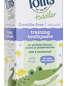 Tom's of Maine Fluoride-Free Toddler Training Toothpaste, Mild Fruit, 1.75 oz.