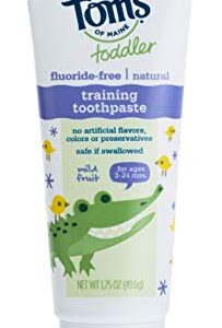 Tom's of Maine Fluoride-Free Toddler Training Toothpaste, Mild Fruit, 1.75 oz.