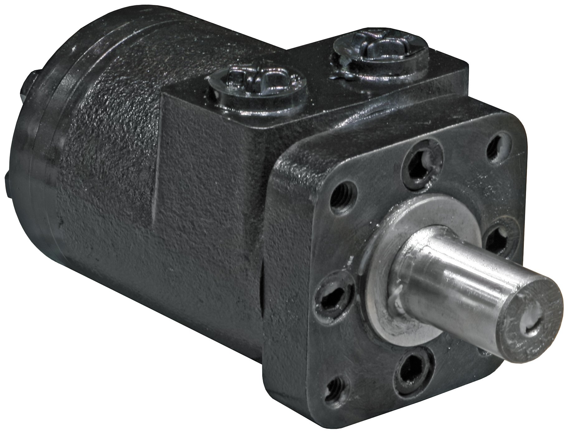 Buyers Products CM004P Hydraulic Motor (Motor,Hydraulic,4-Bolt, 3.17 Cipr) , Black