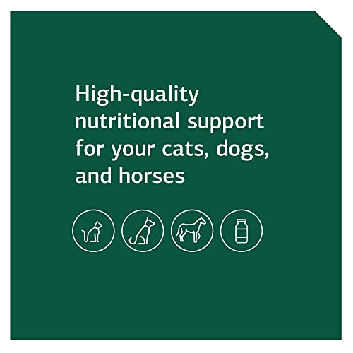 Standard Process Equine Mobility Support - Whole Food Horse Supplies for Antioxidant, Flexibility and Joint Support - Joint Supplement with Ginger Root, Glucosamine Sulfate, Chondroitin Sulfate - 40oz