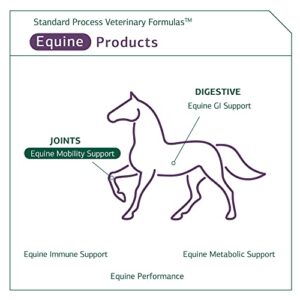 Standard Process Equine Mobility Support - Whole Food Horse Supplies for Antioxidant, Flexibility and Joint Support - Joint Supplement with Ginger Root, Glucosamine Sulfate, Chondroitin Sulfate - 40oz