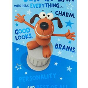 Cute Funny Son-In-Law Birthday Greeting Card Crackers Range Cards New