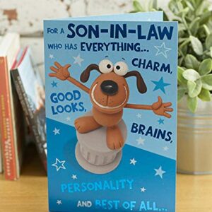 Cute Funny Son-In-Law Birthday Greeting Card Crackers Range Cards New