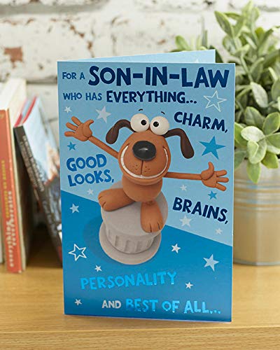 Cute Funny Son-In-Law Birthday Greeting Card Crackers Range Cards New