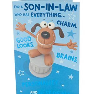 Cute Funny Son-In-Law Birthday Greeting Card Crackers Range Cards New