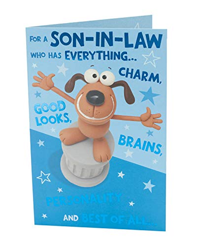 Cute Funny Son-In-Law Birthday Greeting Card Crackers Range Cards New