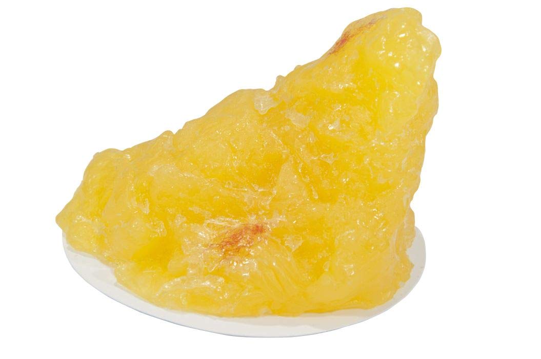 Nasco WA07173 Human Body Fat Replica with Display Base, 1 lb.