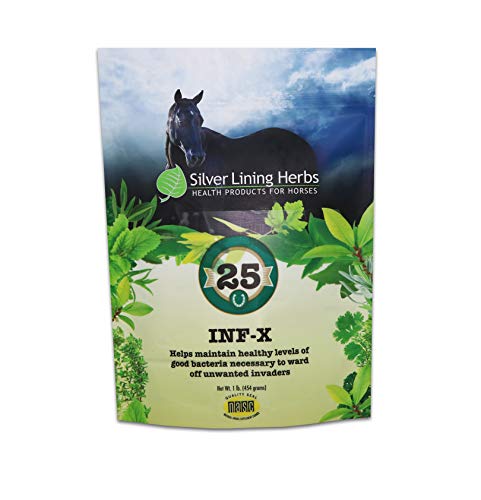 Silver Lining Herbs 25 Equine INF-X - Supports Horse Stress Relief and Healthy Levels of Good Bacteria - Natural Support for Equine Immune System - Herbal Supplement for Equine Detoxification - 1 lb