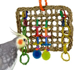 super bird creations sb741 seagrass mini activity wall bird toy, medium bird size, 9” x 7” x 2”