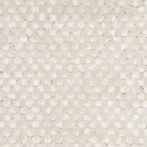 SAFAVIEH Saint Tropez Shag Collection 5' x 8' Snow White STS641W Handmade Solid 1-inch Thick Area Rug