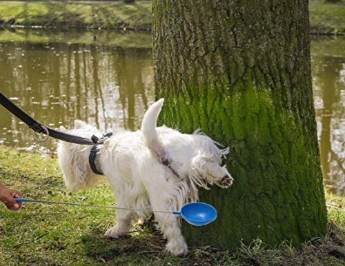 PawCheck P-Scoop Dog Urine Collector - Reusable and Telescopic Dog Urine Catcher extends to 29"