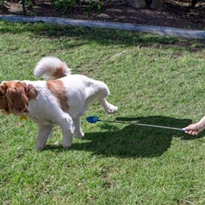 PawCheck P-Scoop Dog Urine Collector - Reusable and Telescopic Dog Urine Catcher extends to 29"