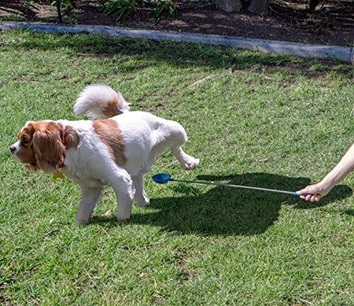 PawCheck P-Scoop Dog Urine Collector - Reusable and Telescopic Dog Urine Catcher extends to 29"