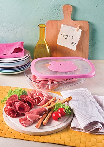 Snips Stackable Storage Cold Meat Saver, Clear with Pink Pig