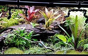 Josh's Frogs ABG Mix Tropical Plant Soil & Terrarium Vivarium Substrate (4 Quart/1 Gallon)