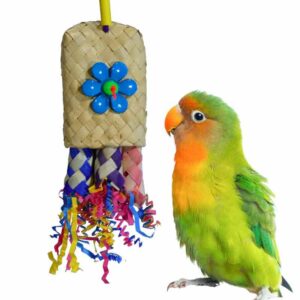 Super Bird Creations SB757 Pocket Rocket Bird Toy, Small Bird Size, 8" x 2"