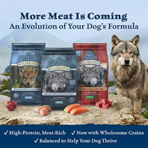 Blue Buffalo Wilderness Rocky Mountain Recipe High Protein, Natural Senior Dry Dog Food, Red Meat 22-lb