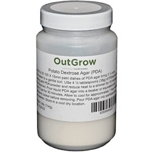 potato dextrose agar (pda)