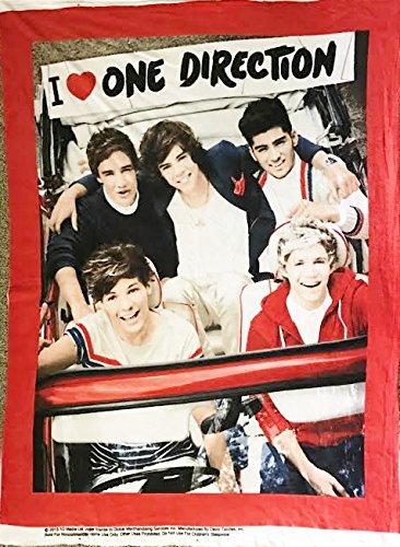 DT Homes I Heart One Direction Fleece 1D No-Sew Throw Blanket Kit - Includes Front & Back Panel (48" X 60") FL48