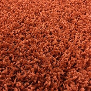 Shaggy Collection Solid Color Shag Area Rugs (Burnt Orange, 5'x7') (4097)