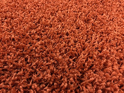 Shaggy Collection Solid Color Shag Area Rugs (Burnt Orange, 5'x7') (4097)