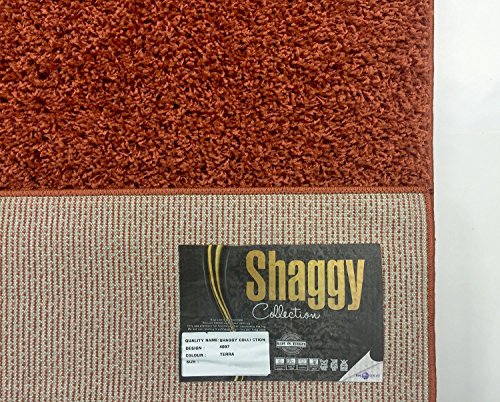 Shaggy Collection Solid Color Shag Area Rugs (Burnt Orange, 5'x7') (4097)