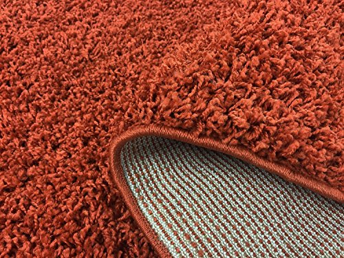 Shaggy Collection Solid Color Shag Area Rugs (Burnt Orange, 5'x7') (4097)