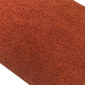 Shaggy Collection Solid Color Shag Area Rugs (Burnt Orange, 5'x7') (4097)