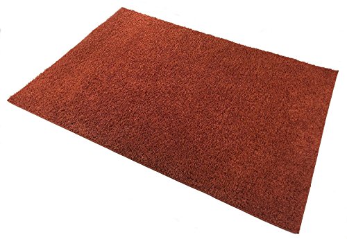 Shaggy Collection Solid Color Shag Area Rugs (Burnt Orange, 5'x7') (4097)