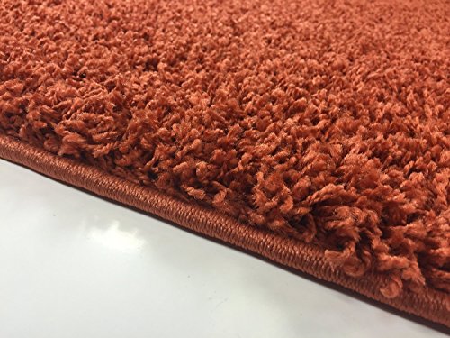 Shaggy Collection Solid Color Shag Area Rugs (Burnt Orange, 5'x7') (4097)