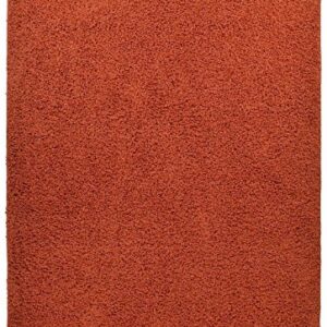 Shaggy Collection Solid Color Shag Area Rugs (Burnt Orange, 5'x7') (4097)