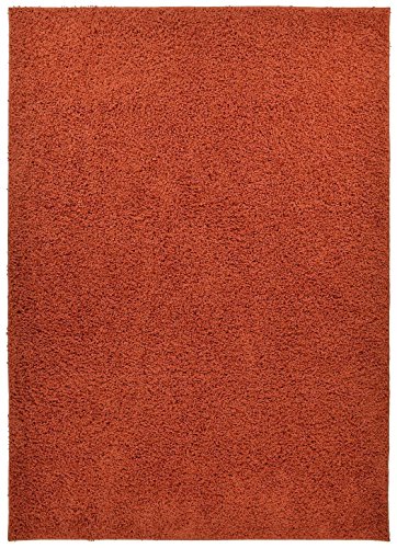 Shaggy Collection Solid Color Shag Area Rugs (Burnt Orange, 5'x7') (4097)