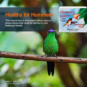 Hummer's Galore Hummingbird Food - Ready-to-Mix Hummingbird Nectar, All-Natural Nectar Collector Formula, 3-Pack Makes 192 oz, No Preservatives or Dyes