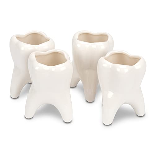 Practicon 9099210 Mini Molar Vases (Pack of 4)