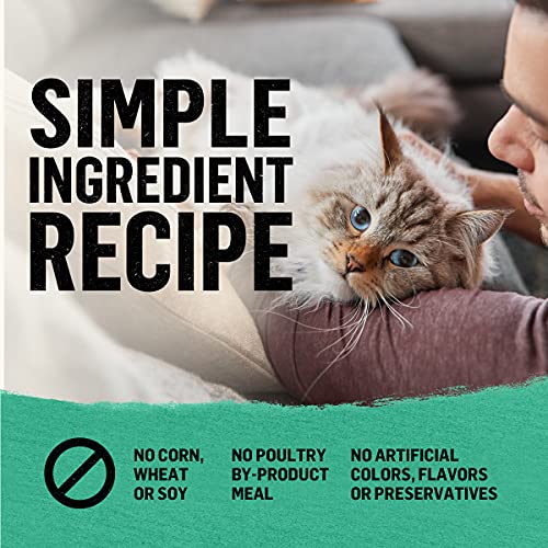 Purina Beyond Grain Free, Natural Dry Cat Food, Simply Grain Free Wild Caught Whitefish & Cage Free Egg Recipe - 11 lb. Bag