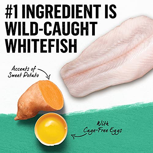 Purina Beyond Grain Free, Natural Dry Cat Food, Simply Grain Free Wild Caught Whitefish & Cage Free Egg Recipe - 11 lb. Bag