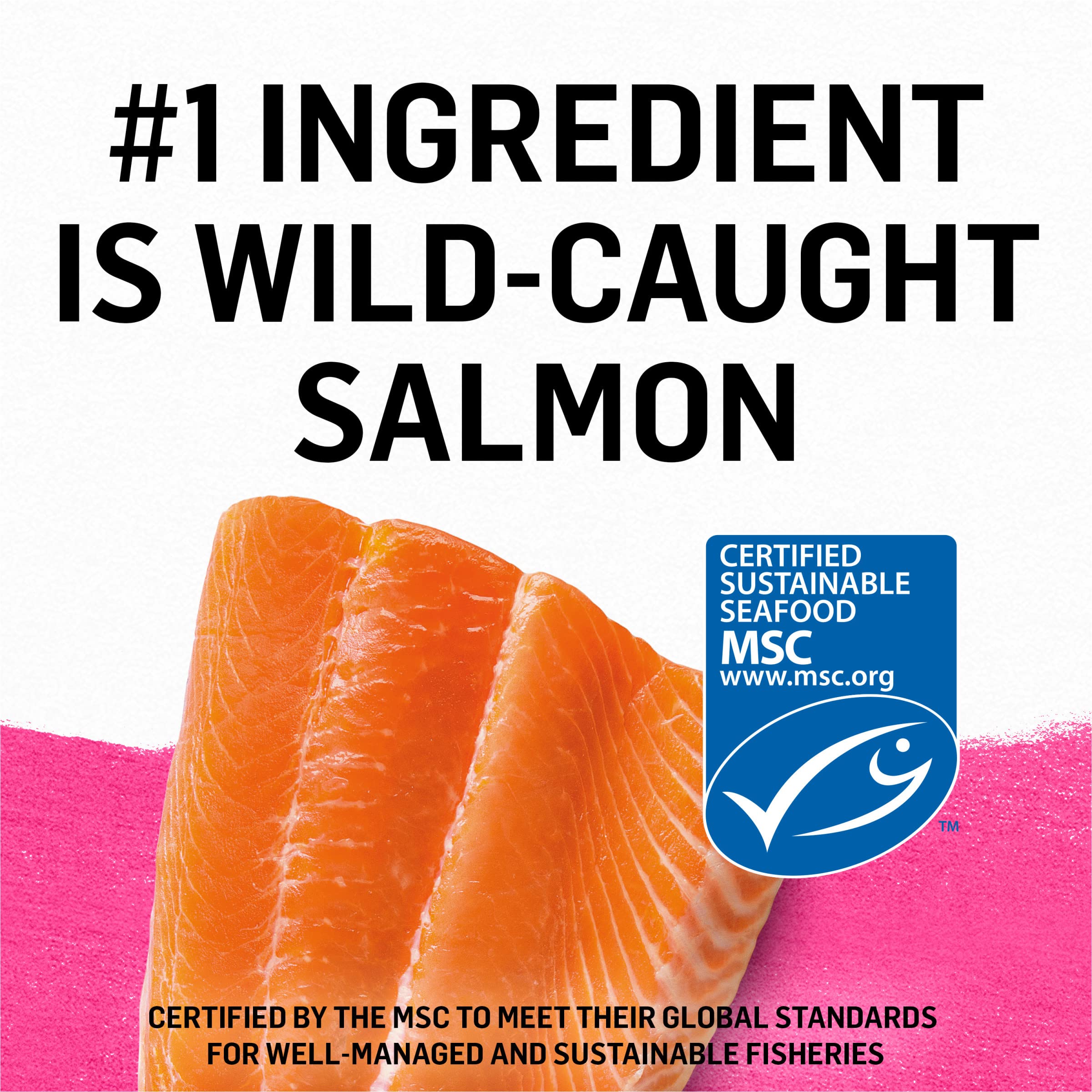 Purina Beyond Wild Salmon Recipe Grain Free Wet Cat Food Pate - (12) 3 oz. Cans