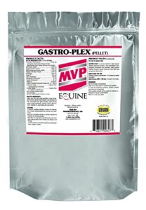 gastro-plex (3 lb) supports gut health and hindgut digestion in horses