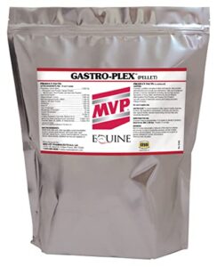 gastro-plex (6 lb) supports gut health and hindgut digestion in horses