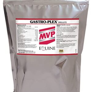 Gastro-Plex (6 lb) Supports Gut Health and Hindgut Digestion in Horses