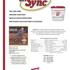 Med-Vet Pharmaceuticals in-Sync (16lb) for Muscle Health/Recovery in Horses…