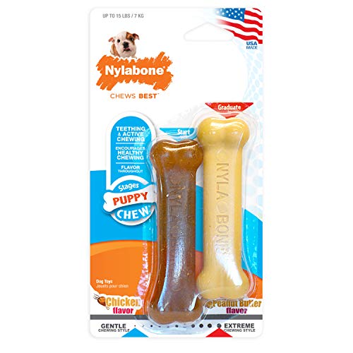 Nylabone Classic Puppy Chew Toy Twin Pack - Puppy Chew Toys for Teething - Puppy Supplies - Chicken & Peanut Butter Flavor, X-Small/Petite (2 Count)