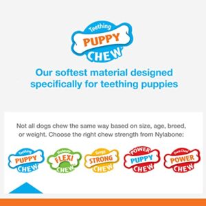 Nylabone Classic Puppy Chew Toy Twin Pack - Puppy Chew Toys for Teething - Puppy Supplies - Chicken & Peanut Butter Flavor, X-Small/Petite (2 Count)