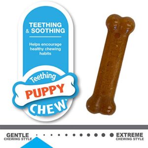 Nylabone Classic Puppy Chew Toy Twin Pack - Puppy Chew Toys for Teething - Puppy Supplies - Chicken & Peanut Butter Flavor, X-Small/Petite (2 Count)