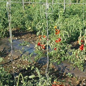 IRRIGATION-MART 6300FT Tomato Tying Garden Twine