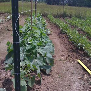 IRRIGATION-MART 6300FT Tomato Tying Garden Twine