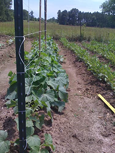 IRRIGATION-MART 6300FT Tomato Tying Garden Twine