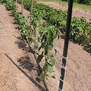 IRRIGATION-MART 6300FT Tomato Tying Garden Twine