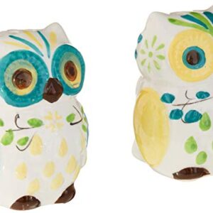 Floral Owl Salt & Pepper Shakers, Hand-painted Ceramic by Boston Warehouse, 2-Piece Set, Multicolor